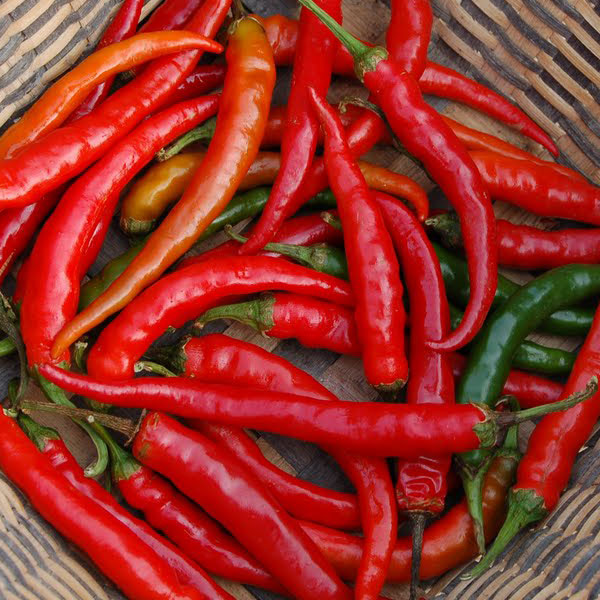 Paprika zeleninová pálivá chili Damián červená 0,4g