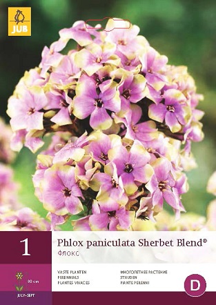 Plaménka Paniculata Sherbet Blend