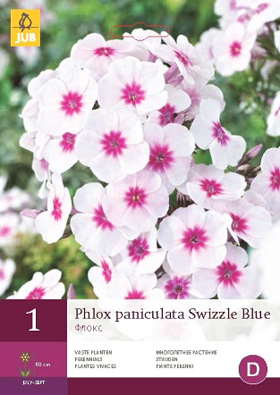 Plaménka Paniculata Swizzle Blue
