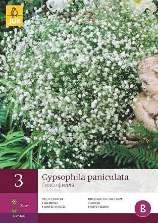 Šater Paniculata