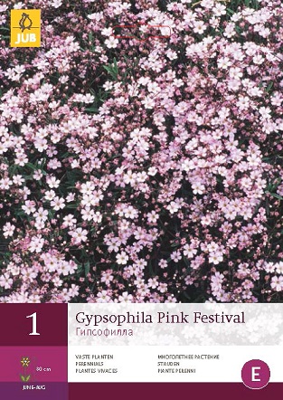 Šater Pink Festival