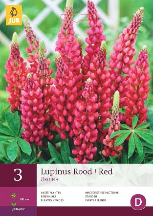 Lupina Red